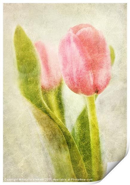 Textured Tulip Print by Natalie Kinnear