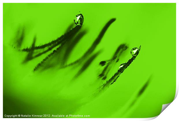 Water Droplets Abstract in Lime Green Print by Natalie Kinnear