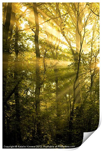 Sunrays Through the Trees Print by Natalie Kinnear