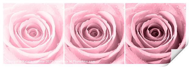 Plum Rose with Water Droplets Triptych Print by Natalie Kinnear