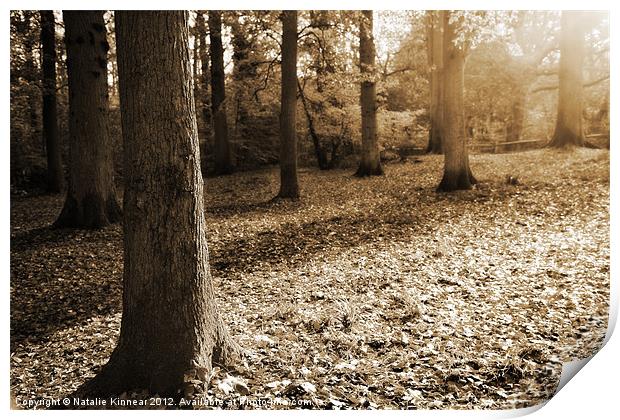 Leafy Autumn Woodland in Sepia Print by Natalie Kinnear