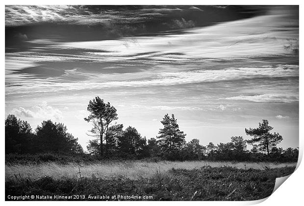 Ashdown Forest in Black and White Print by Natalie Kinnear