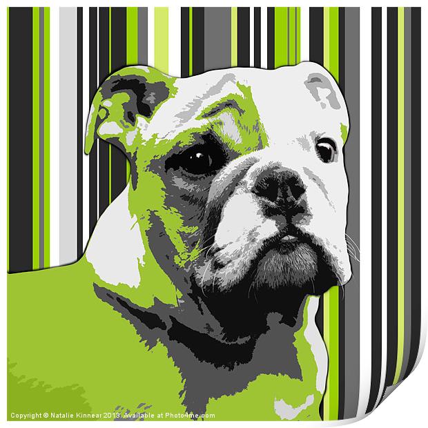 English Bulldog Puppy Abstract Print by Natalie Kinnear