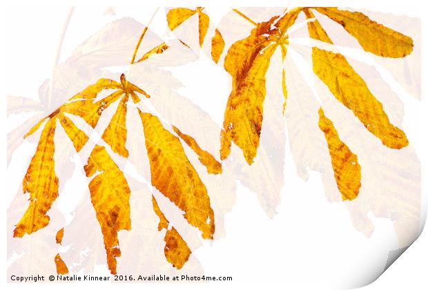 Autumn Leaves Abstract 2 Print by Natalie Kinnear