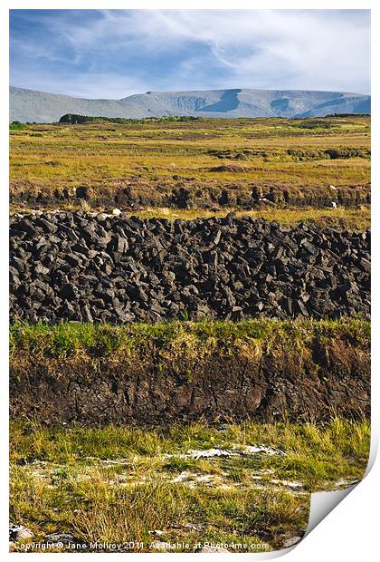 Peat Bog, Achill, Mayo, Ireland Print by Jane McIlroy