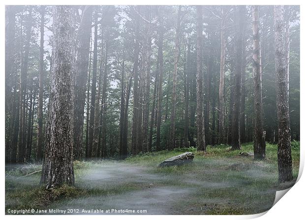 Mysterious Foggy Woodland Scene Print by Jane McIlroy
