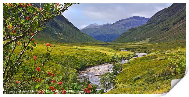 Glen Etive, Highlands of Scotland Print by Jane McIlroy