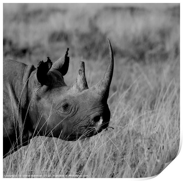Black Rhino Print by steve akerman