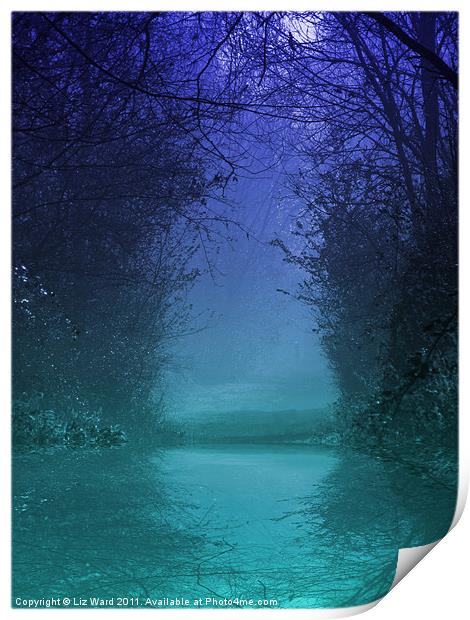 Mystic Forest Pool Print by Liz Ward