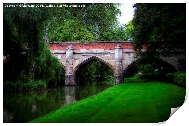 Old Eltham Bridge Print by Liz Ward