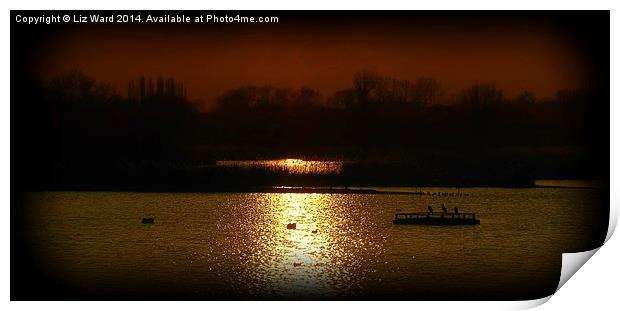 On Golden Pond Print by Liz Ward