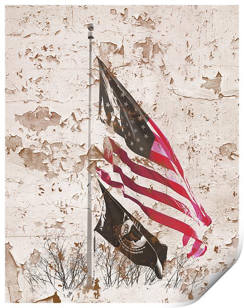 Washington DC Flags Print by Cliff Kramer