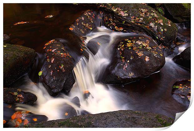 Autumn stream Print by Mark Harrop