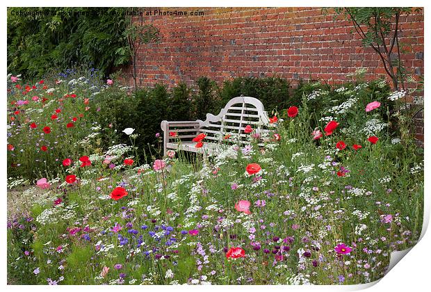 Bench and Wildflowers Print by Mark Harrop