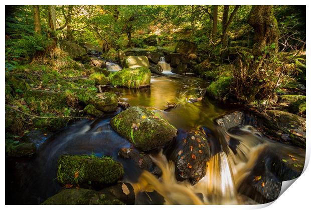 Autumn river Print by Mark Harrop