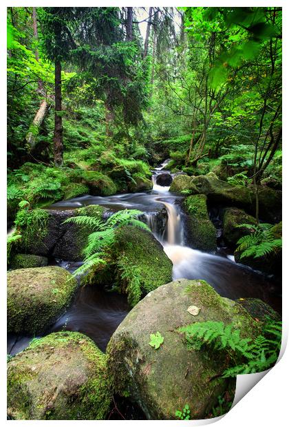 Gorgeous green stream Print by Mark Harrop