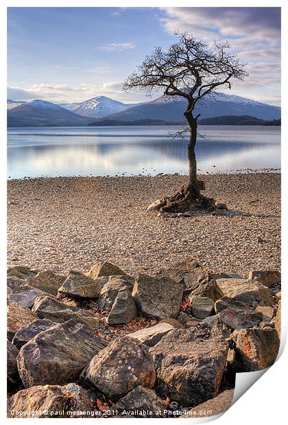 Lone tree Loch Lomond Print by Paul Messenger