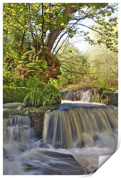 Water fall in Scotland Print by Paul Messenger