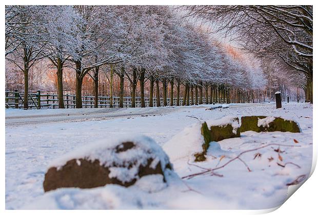 Eglinton Park, Kilwinning Print by Paul Messenger