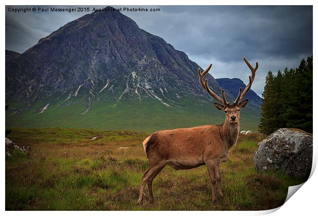 Monarch of the Glen at the Buachaille  Print by Paul Messenger
