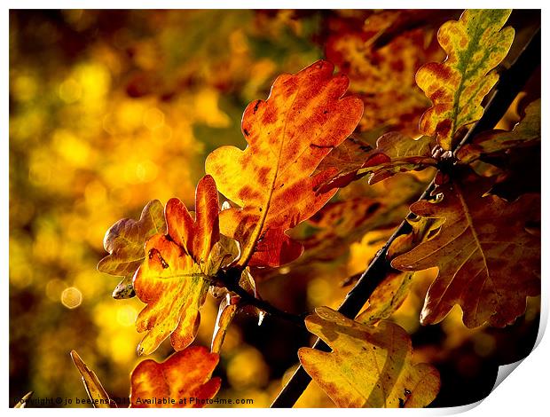 autumn leaves Print by Jo Beerens