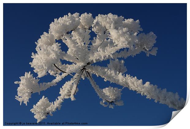 a touch of frost Print by Jo Beerens