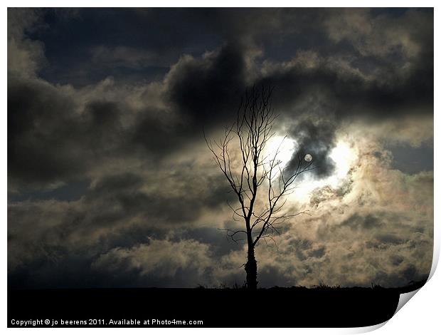 time for a lonely tree photo Print by Jo Beerens