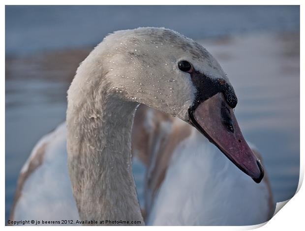 swan neck Print by Jo Beerens