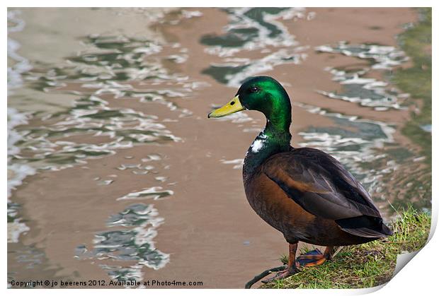 duck a la abstract Print by Jo Beerens