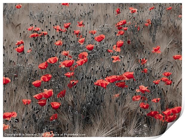 poppy field Print by Jo Beerens