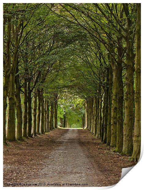 castle driveway Print by Jo Beerens