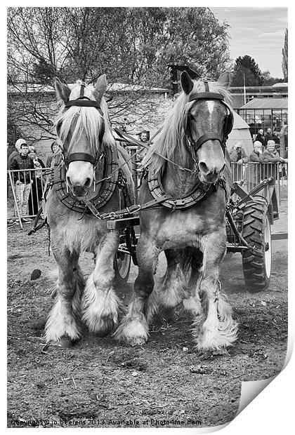 horse powered Print by Jo Beerens