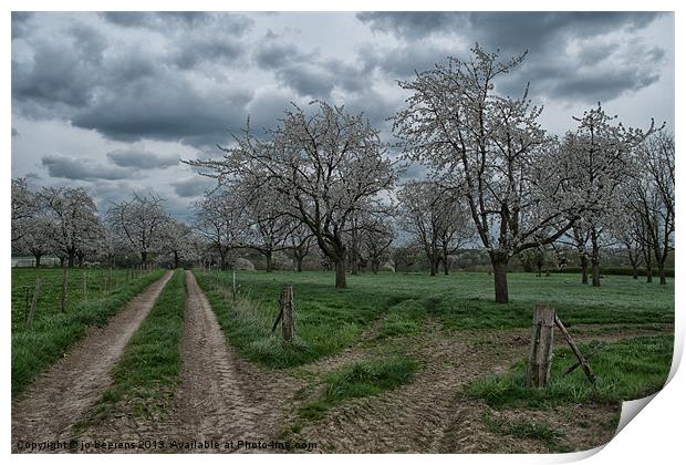 blossoming trees Print by Jo Beerens