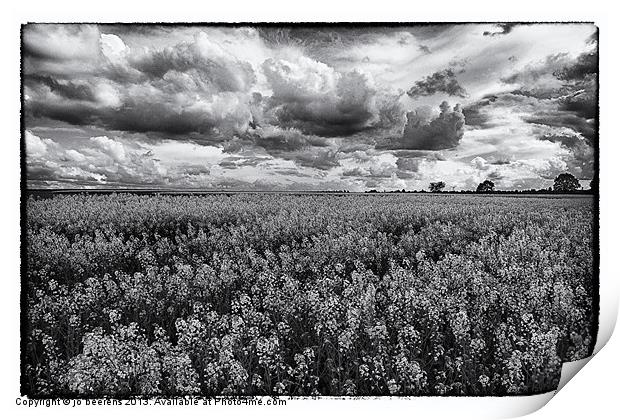 rapeseed field black and white Print by Jo Beerens