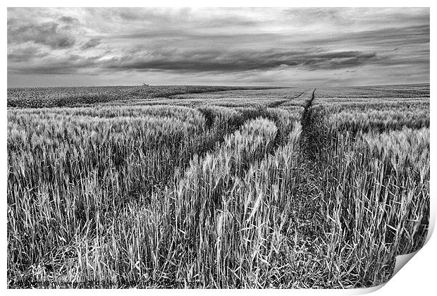 grain field tracks Print by Jo Beerens