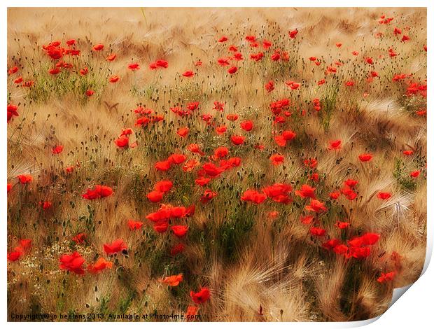 red poppy field Print by Jo Beerens