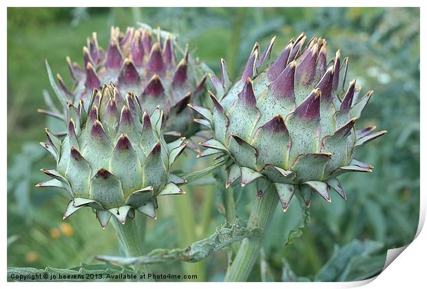 artichoke Print by Jo Beerens