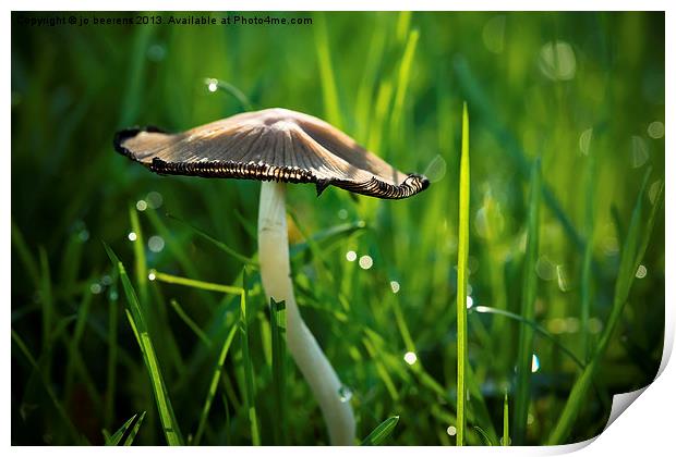 mushroom in the grass Print by Jo Beerens