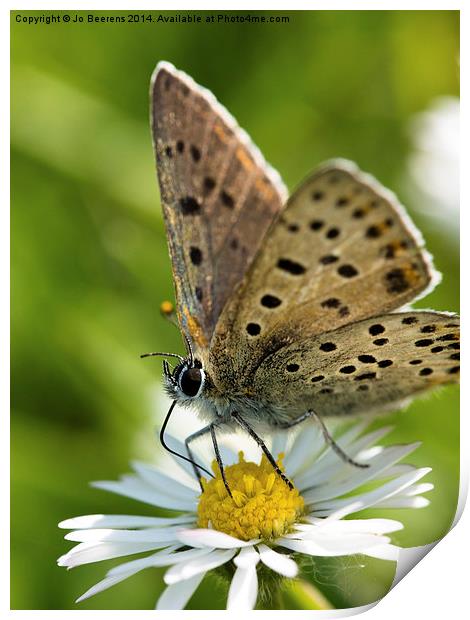 dotted butterfly Print by Jo Beerens