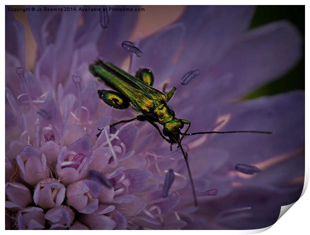 green bug Print by Jo Beerens