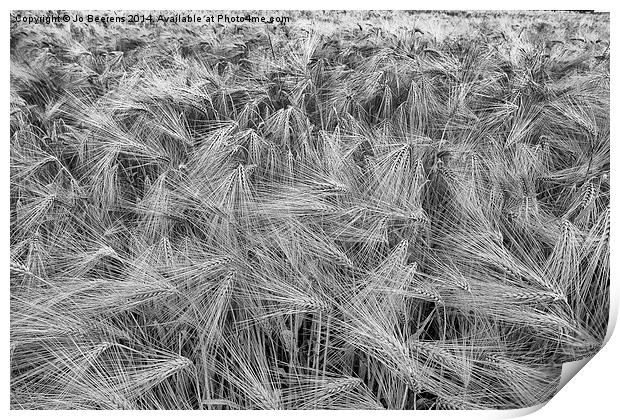 grain Print by Jo Beerens