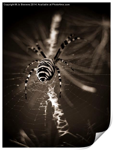 spider in waiting Print by Jo Beerens