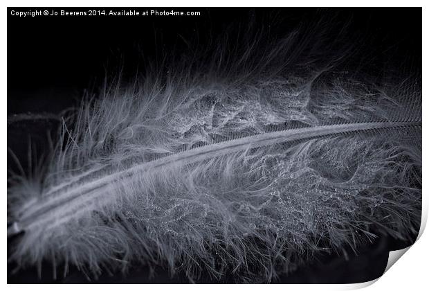 feather droplets Print by Jo Beerens