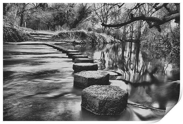 River Mole Stepping Stones Print by Dean Messenger