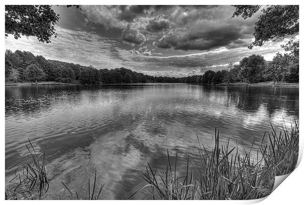 River Darent Black and White Print by Dean Messenger