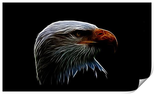 bald eagle iPhone Case Print by Dean Messenger