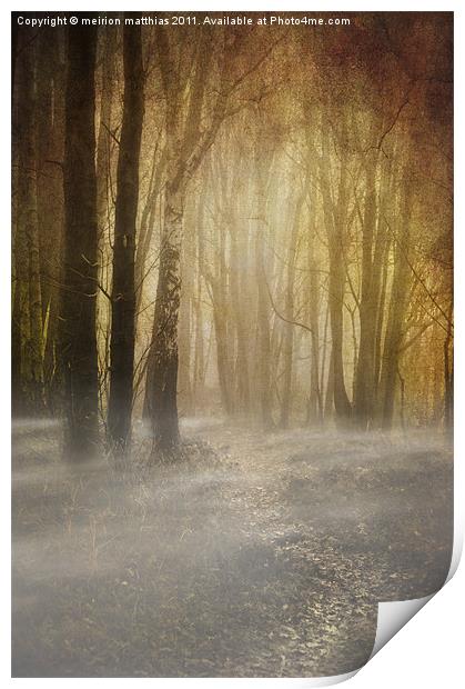spooky misty woodland Print by meirion matthias
