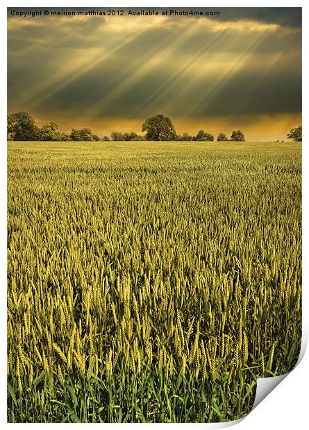 drama in the barley field Print by meirion matthias