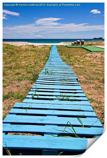 improvised boardwalk Print by meirion matthias