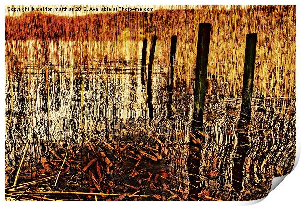 golden decay Print by meirion matthias